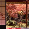 miisuo5