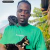 Allan Cat Rescue