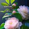 user4508558743691