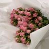 asma.a772
