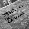 _davizinnx7z_
