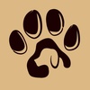 pawlux7