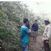 kongslet6704618377438