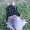 belaabil26