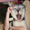 .ww_who