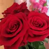lafemme591