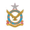 defenderspirit