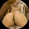djfjhklx811