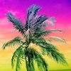 user2547125080662