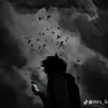 6mortada0
