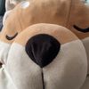 kongphan78