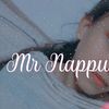 mr.nappu..2
