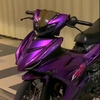 y15zr_purple3