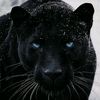 www.fer...3