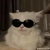 tovgcof