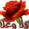user3521155775169