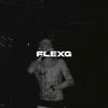 flex_g01