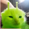 bibbi12345