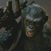 KOBA FX