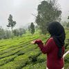 cayeizzz01