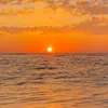 angelina_pl