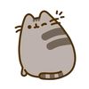 its_dari03