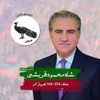 amirhussainkalhoro