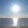 choubani.rafik3
