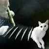 xzcvxbx8483