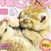 kyan_246