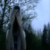 karimzz201