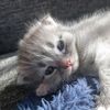alise08901