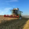 agri.du_62