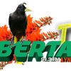 libertadaynipositiva7