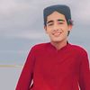 wajidalibhattiking