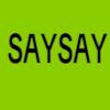 saysay_041