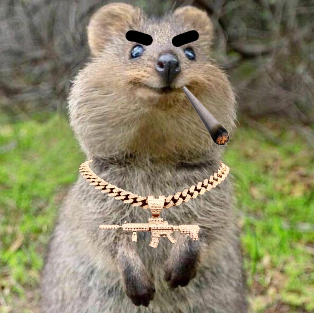 quelquokka