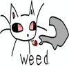 loona__wolfy