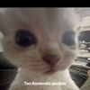 octavio.gaytn3