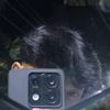wildan_naufall