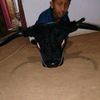 very.gantengnya.pl