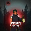 zoanwin