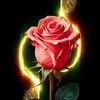 shwe.zin1718