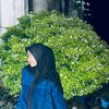 clrshaaprillia