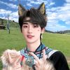 linna03996