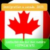 souley6196