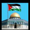 mahmoud46309