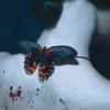 royaa66_wonderland