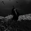 fairychxae_