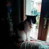 fabio.masetti